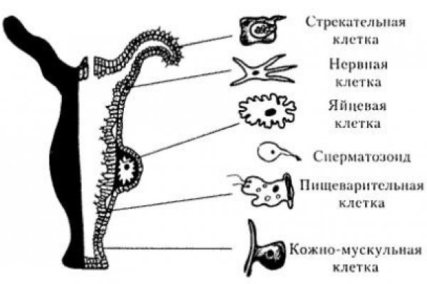 Кракен как войти