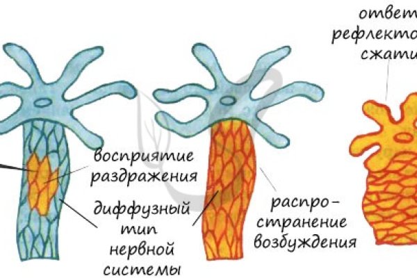 Kraken вывод денег