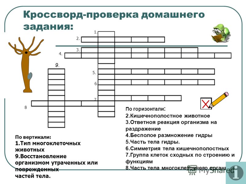 Как восстановить аккаунт кракен